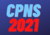 Pendaftaran CPNS 2021 Akan Segera Dibuka, Yuk Simak Persyaratan Umumnya cpns-2021
