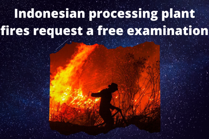 Indonesian processing plant fires request a free examination
