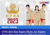 Pendaftaran CPNS 2023 Akan Segera Dibuka, Ayo Siapkan Berkas Persyaratannya dan Pilih Formasinya CPNS 2023