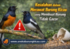 Kesalahan dalam Merawat Burung Kicau yang Membuat Burung Tidak Gacor Kesalahan dalam Merawat Burung Kicau yang Membuat Burung Tidak Gacor